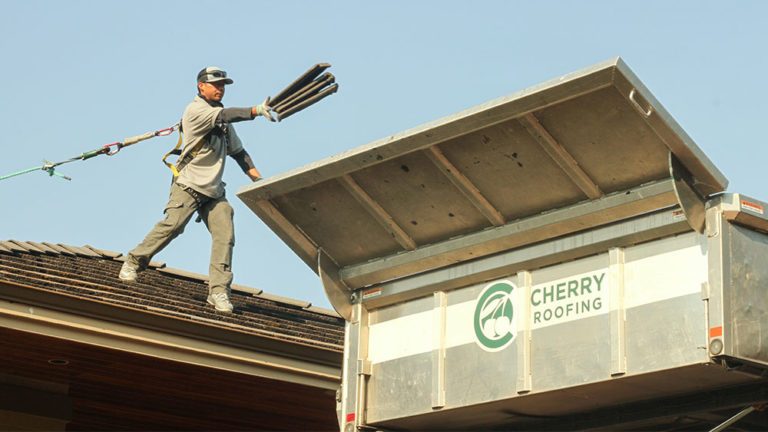 A cherry roofing crewman on a roof tossing shingles into a container.