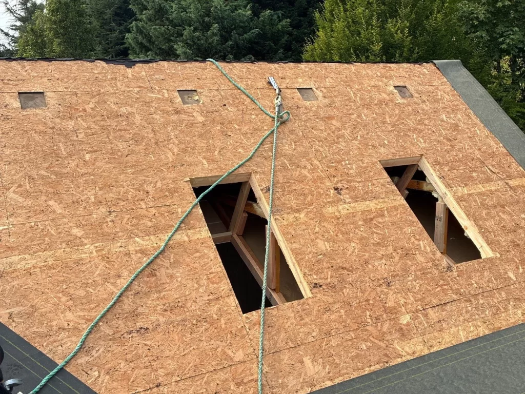 Roof Before Roofing and Skylights are Replaced