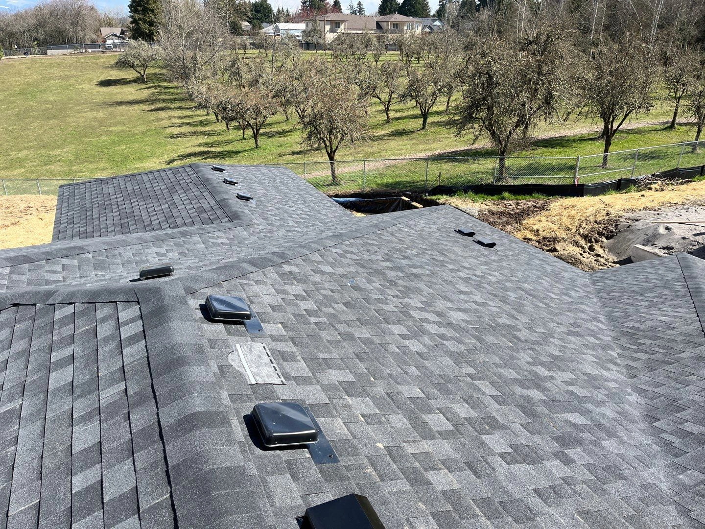 Shingle Roof