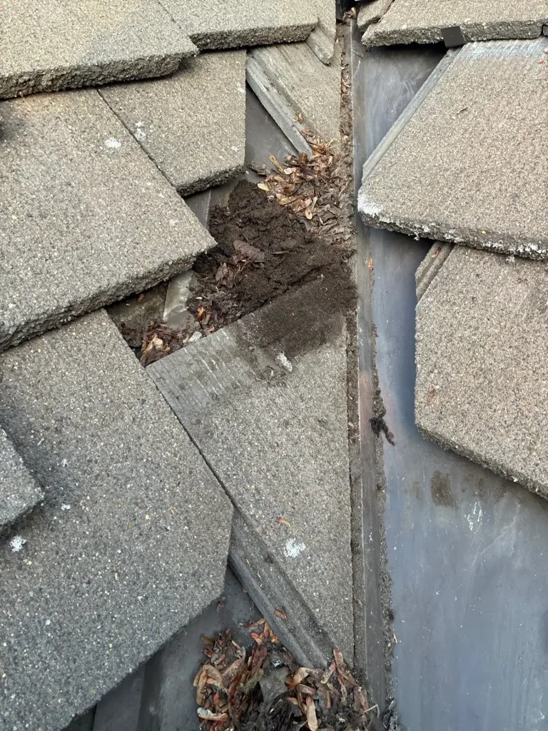 Tile roof valley in Vancouver, WA showing heavy debris buildup beneath concrete tiles that caused water pooling and an interior roof leak.